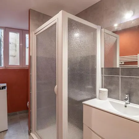 Le Baron Terrasse Et Parking Coeur De * Castres (Tarn)